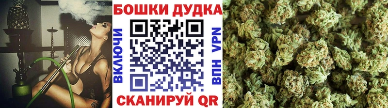 Каннабис планчик  Купить закладки  Великий Новгород 